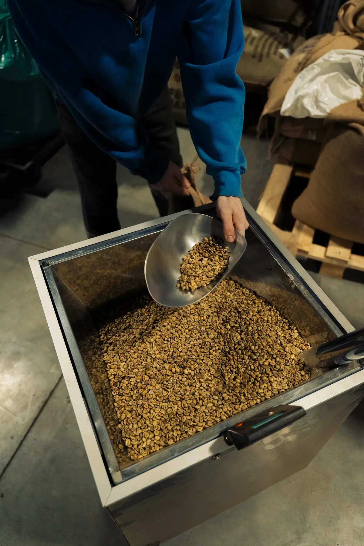 Проверка зелёного кофейного зерна перед обжаркой